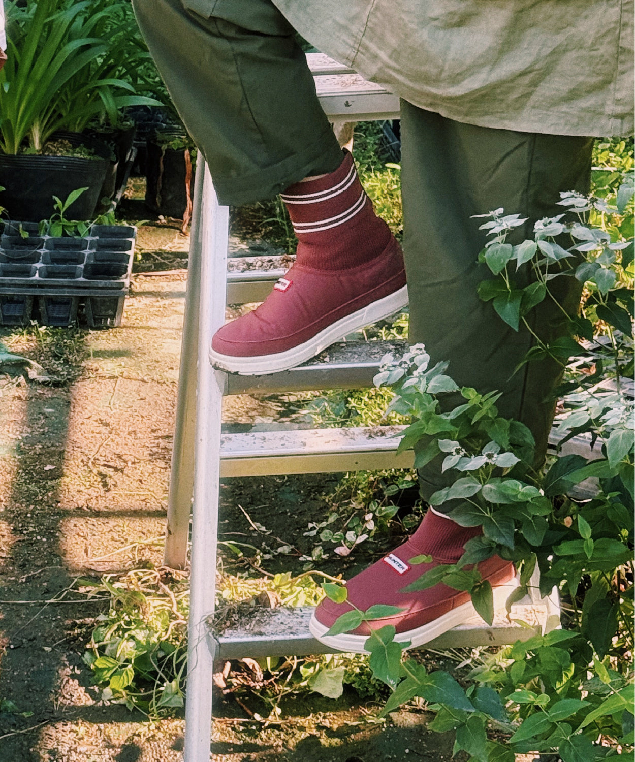 ユニセックス イン/アウト ハンター ニッテッド ソック スリッパ - ドリーミーローズ / シェイデッドホワイト