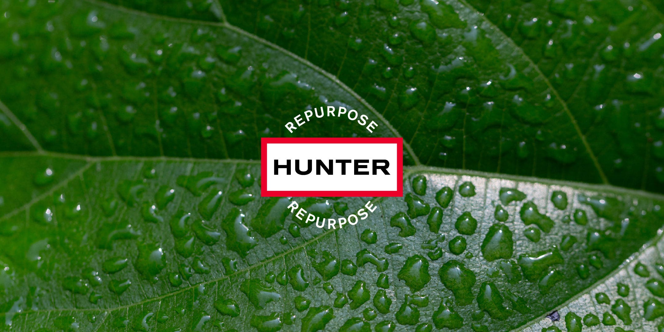 2025 Hunter Repurpose